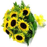 Bouquet com 12 Girassóis